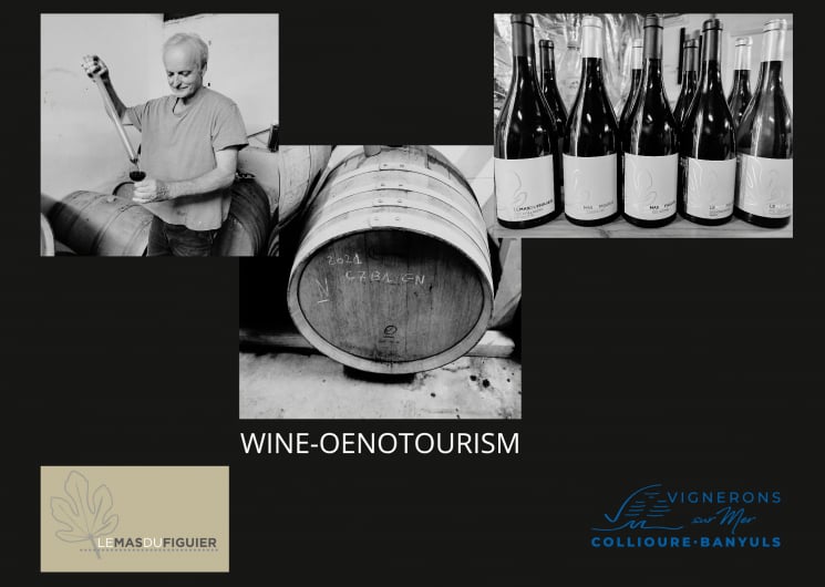 PRESENTATION ET DEGUSTATION DES CUVEES DU MAS DU FIGUIER