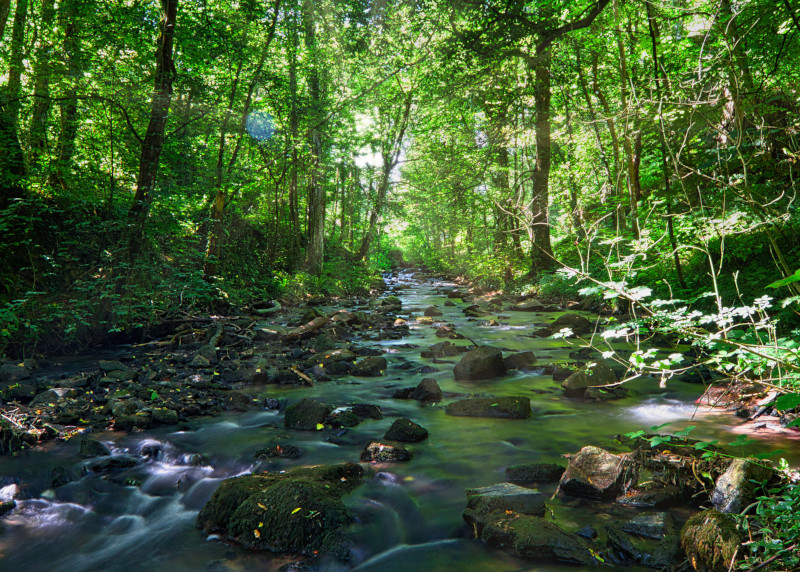 A la découverte des p'tites bêtes du Laizon