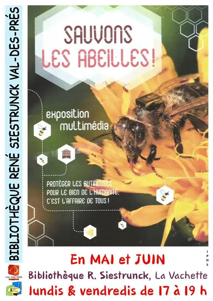 Exposition multimédia : Sauvons les abeilles !