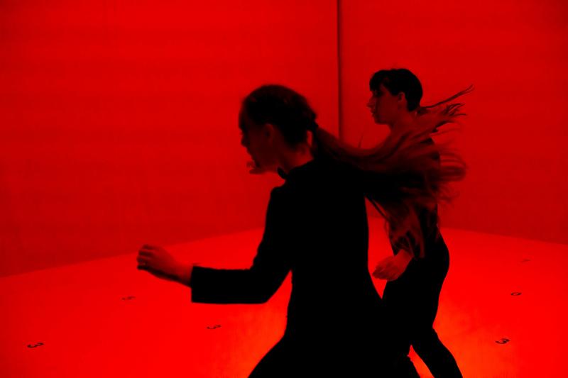 Wonderland - la Cour des Trois Coquins