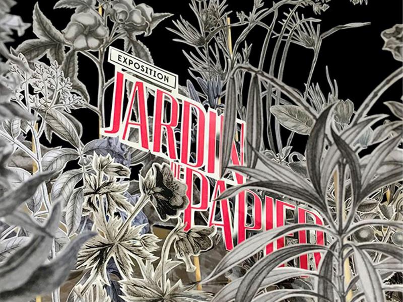 Exposition - Jardin de papier