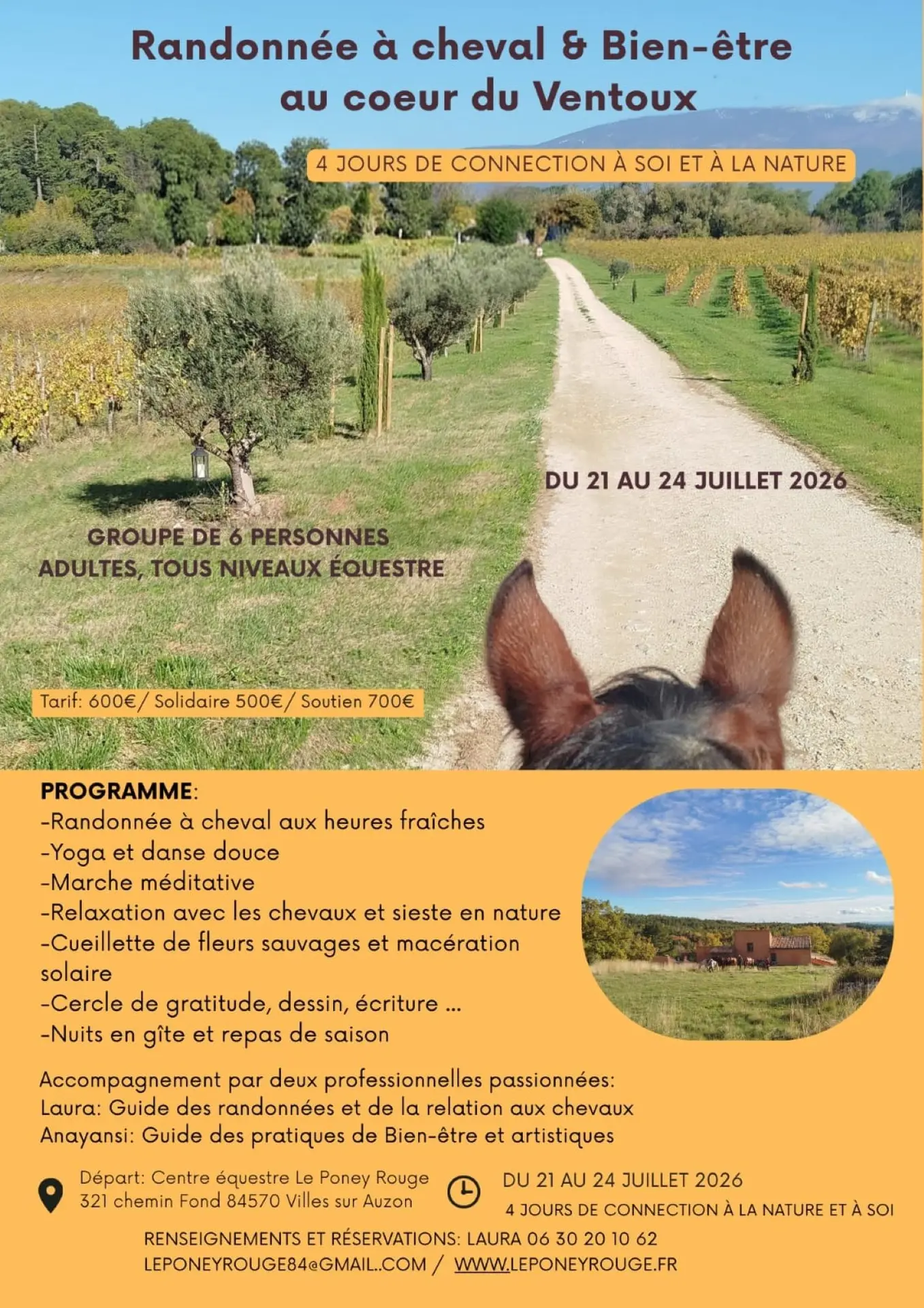 Séjour randonnée à cheval & bien-être au coeur du Ventoux
