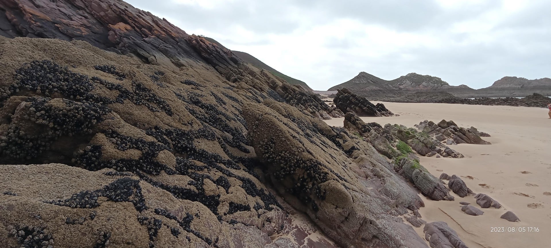 Sortie Nature avec Monsieur Jean- « Découverte de l’estran à marée basse »