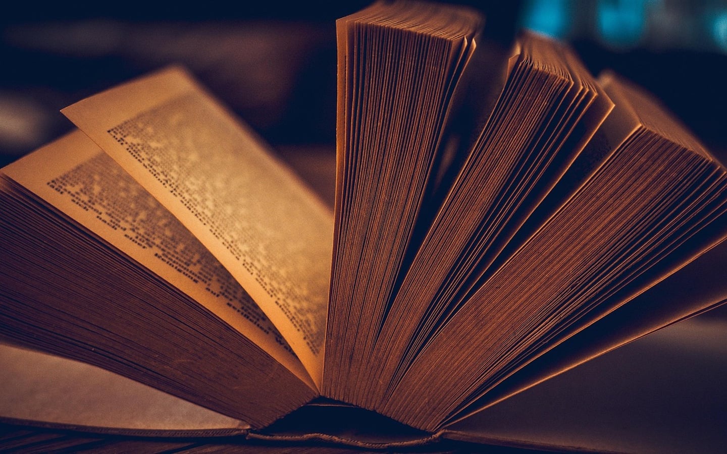 Fête du livre