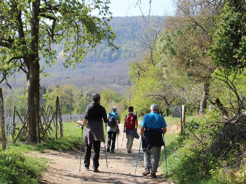 Marche gourmande d'automne