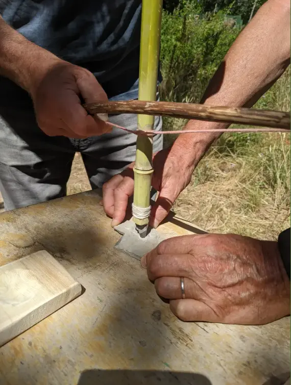Atelier d’archéologie participative au CAREX