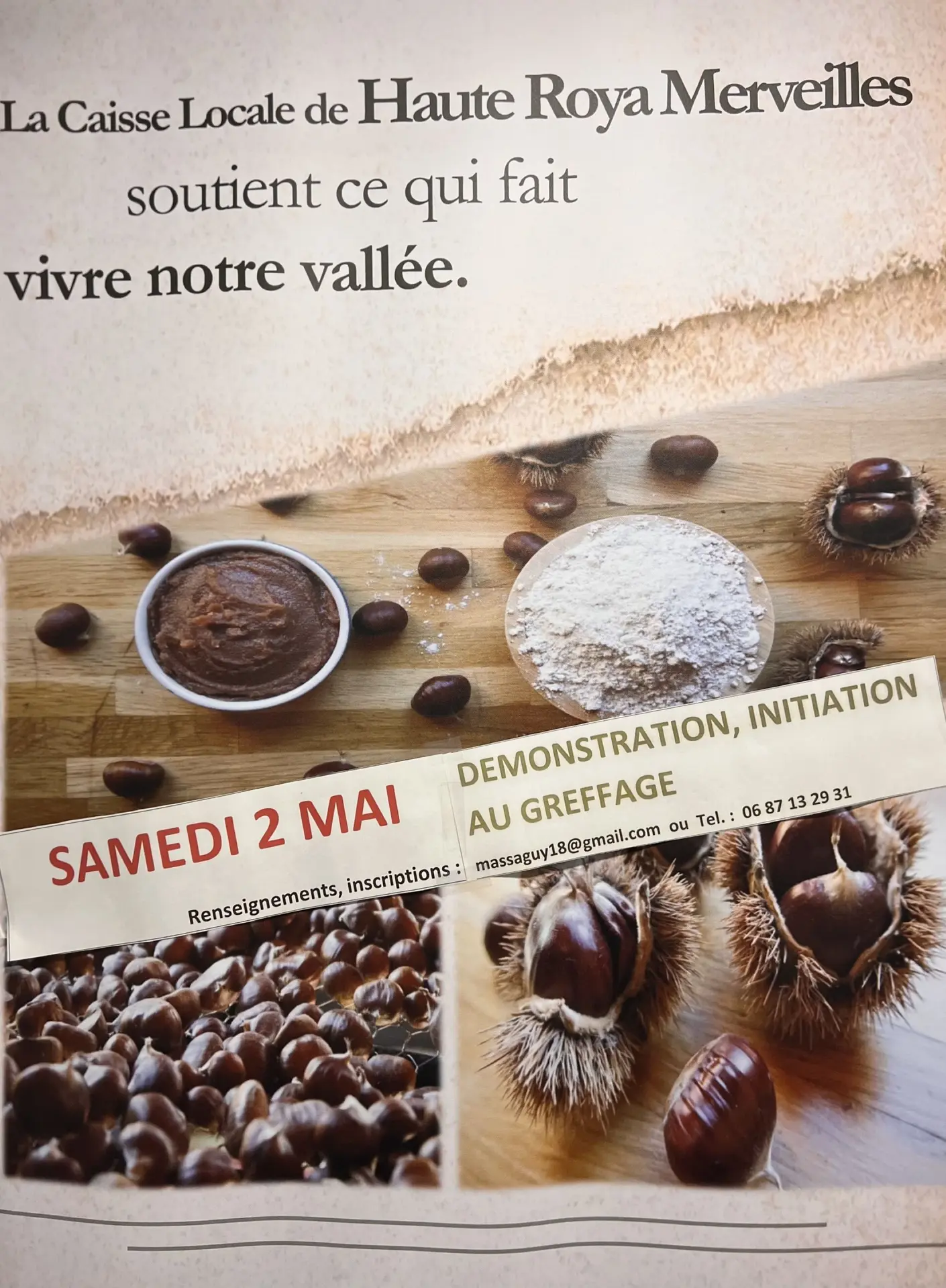 Démonstration et initiation au greffage de chataigniers