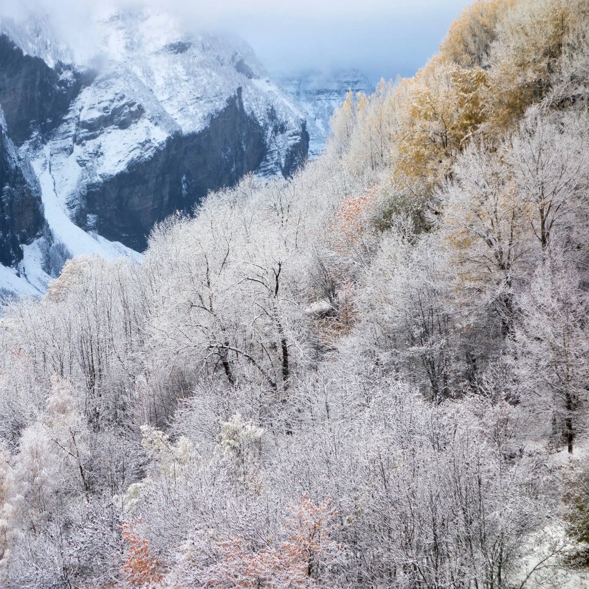 Exposition : "Lumières en Ecrins"