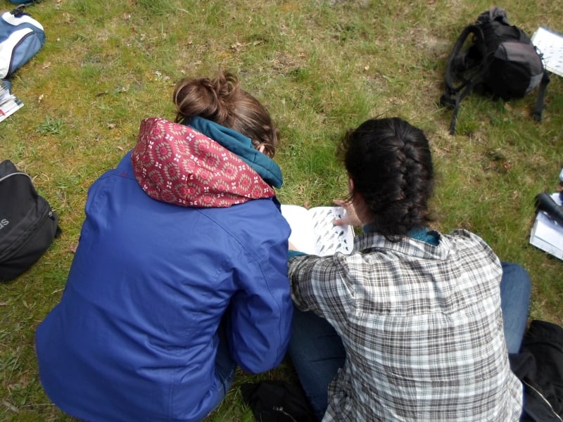 Rallye nature - Les rapaces