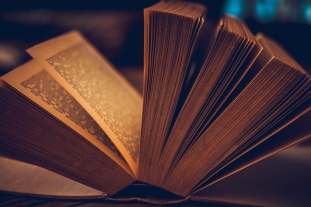 Grande vente de livres d'occasion au café associatif "La Belle Poule"