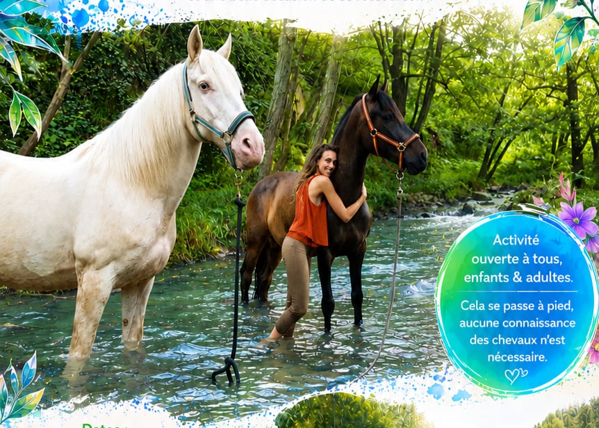 Baignade et détente avec les chevaux