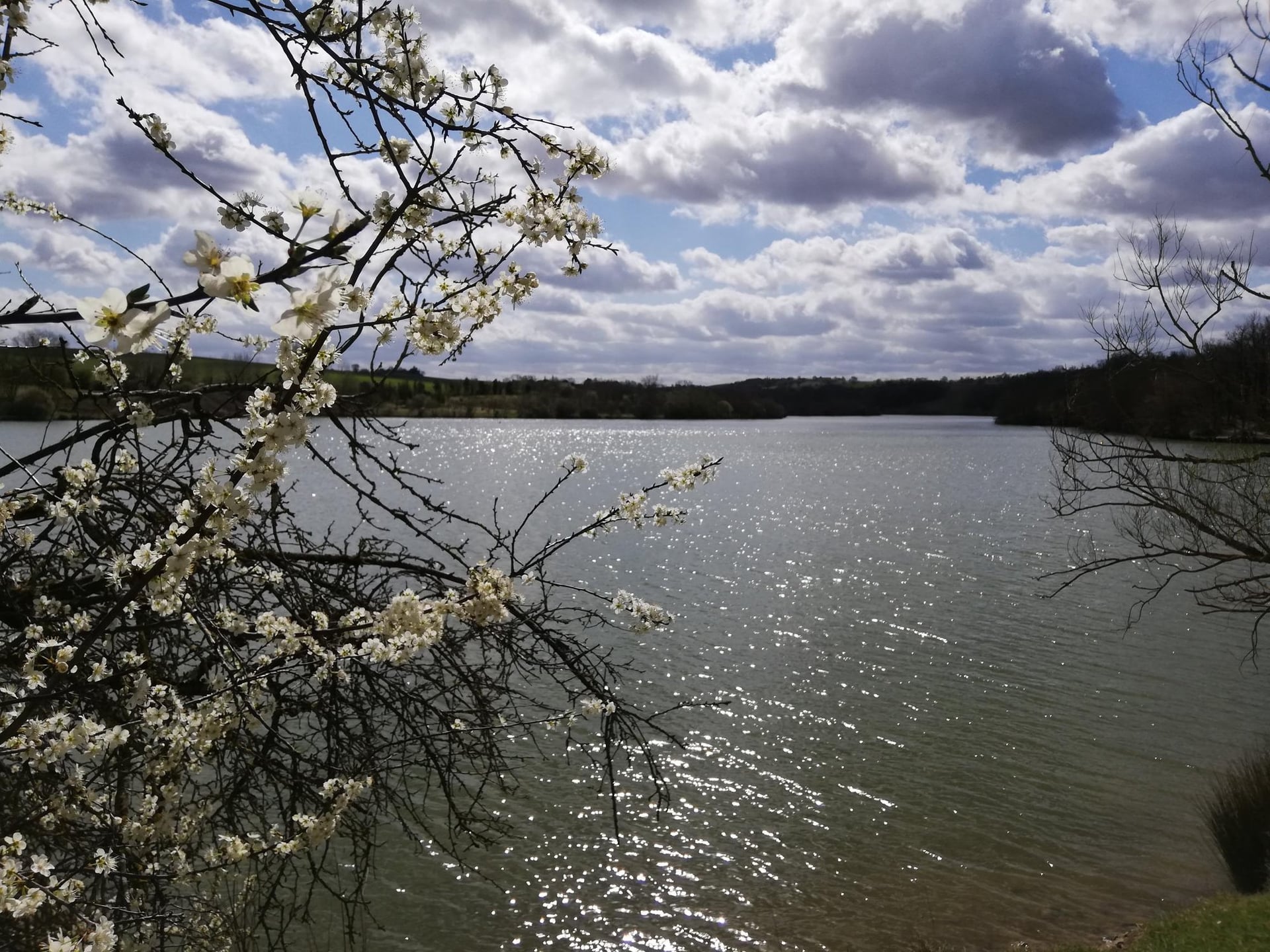 NATUR'OLAC DE LA THÉSAUQUE
