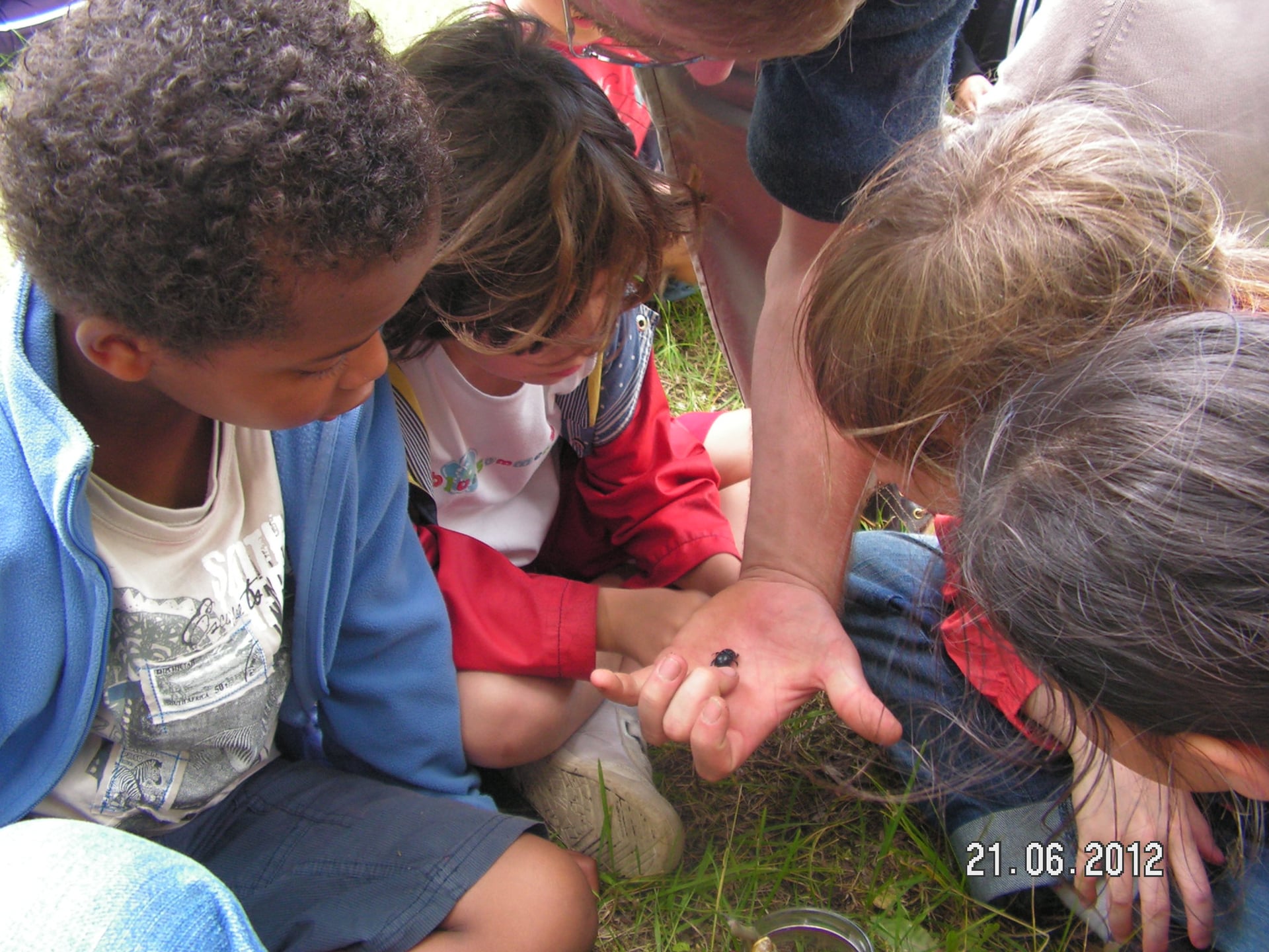 Atelier "Petites Bêtes"