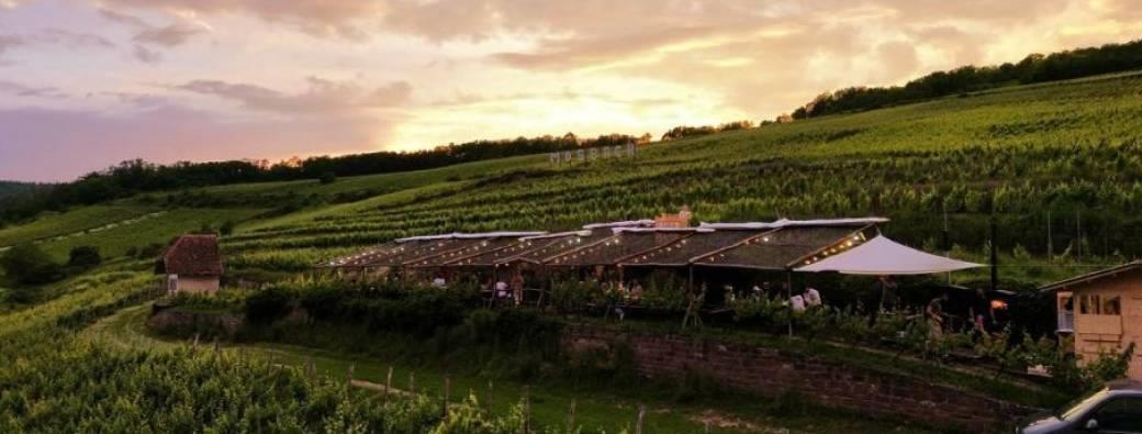 Expériences Mossig & Vignoble : Cheval et Bistrot Champêtre