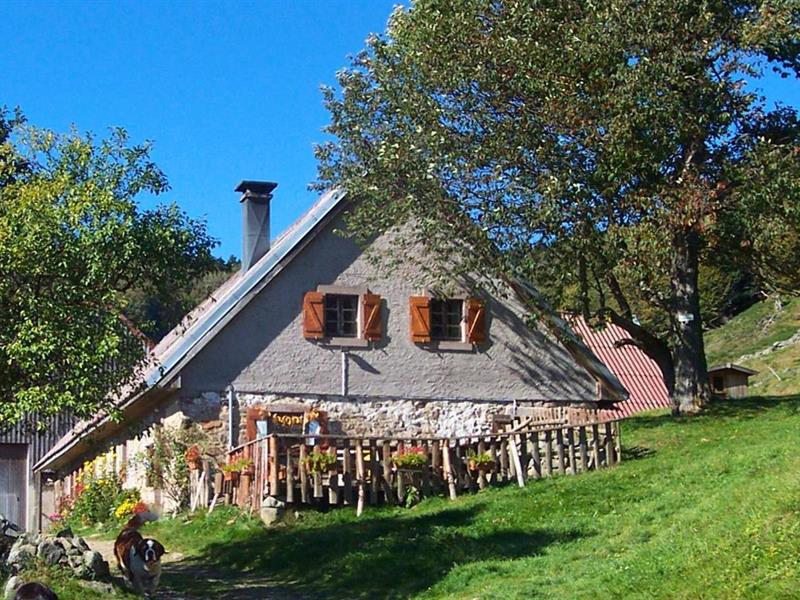 Balade sur les traces des malkers