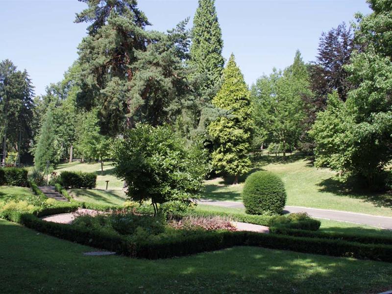 Festival du Patrimoine Naturel - Découverte du parc municipal de Sarreguemines
