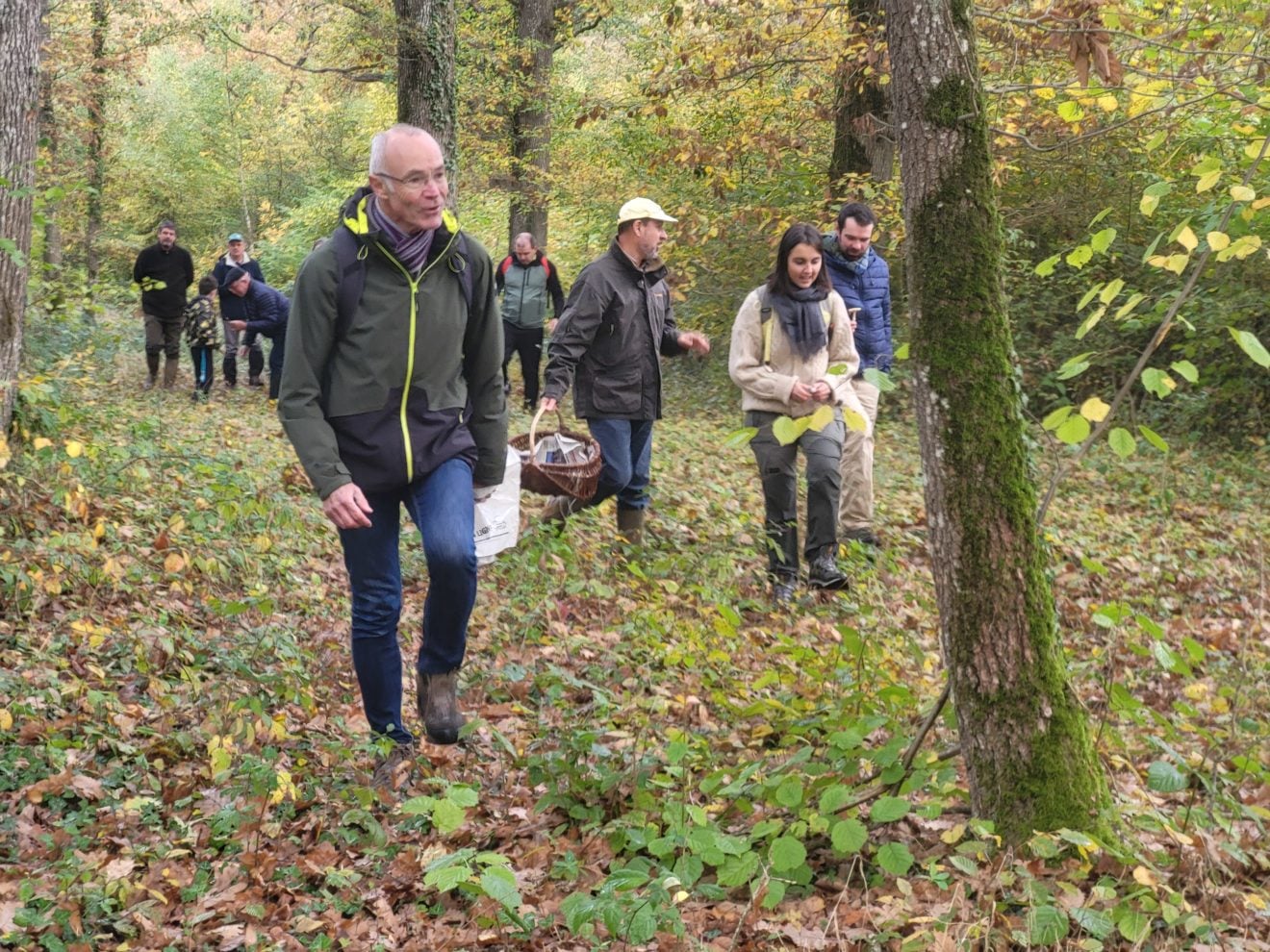Champignons en Sologne