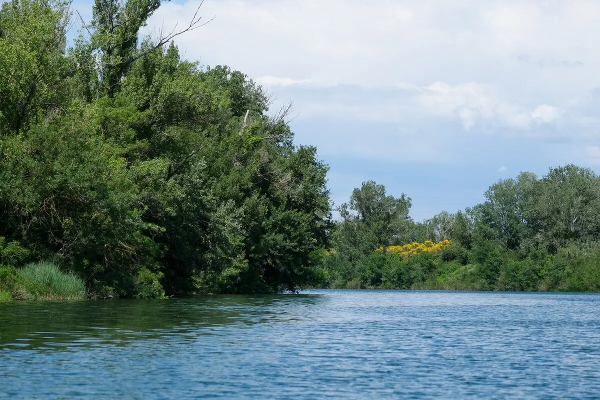 Découverte de l’île de la Barthelasse
