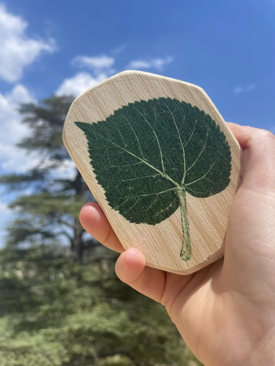 Exposition d'Anne Perier : Les formes organiques