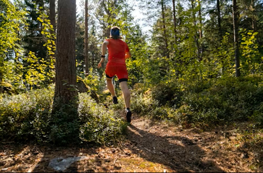 5ème édition Bayac trail