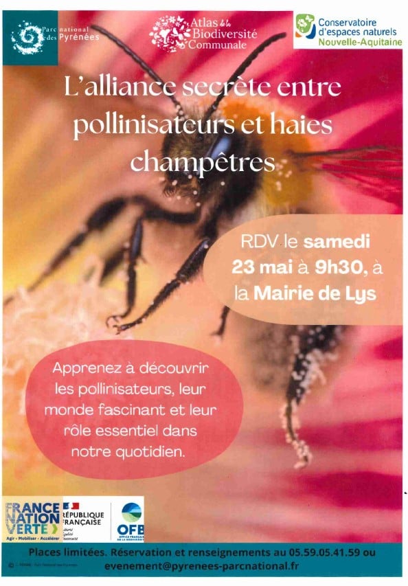 Fêtons la biodiversité - L'alliance secrète entre pollinisateurs et haies champêtres