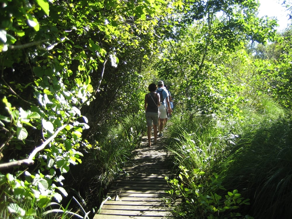 Les visites guidées de la Réserve Naturelle de l'Etang Noir