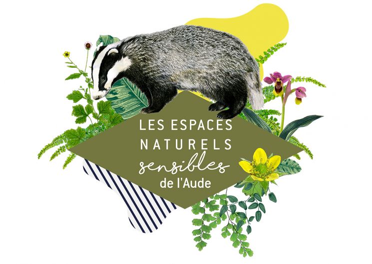 ENS – PETITES BÊTES DE JOUR ET DE NUIT