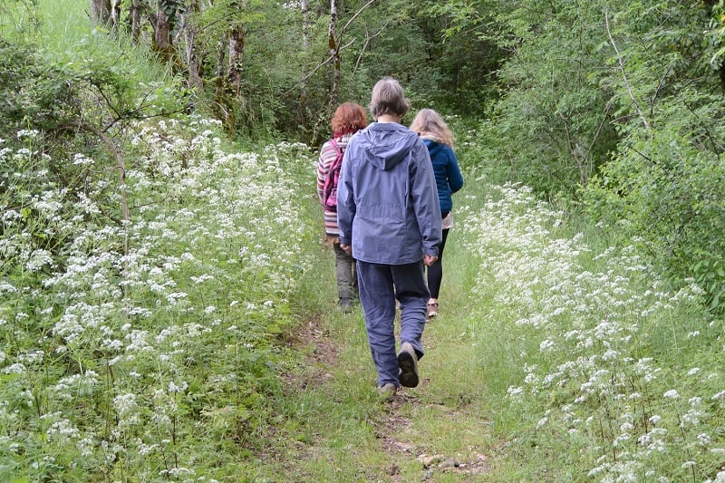 Randonnée à St MARTIN DE FRESSENGEAS organisée par Les Pieds dans l’herbe.