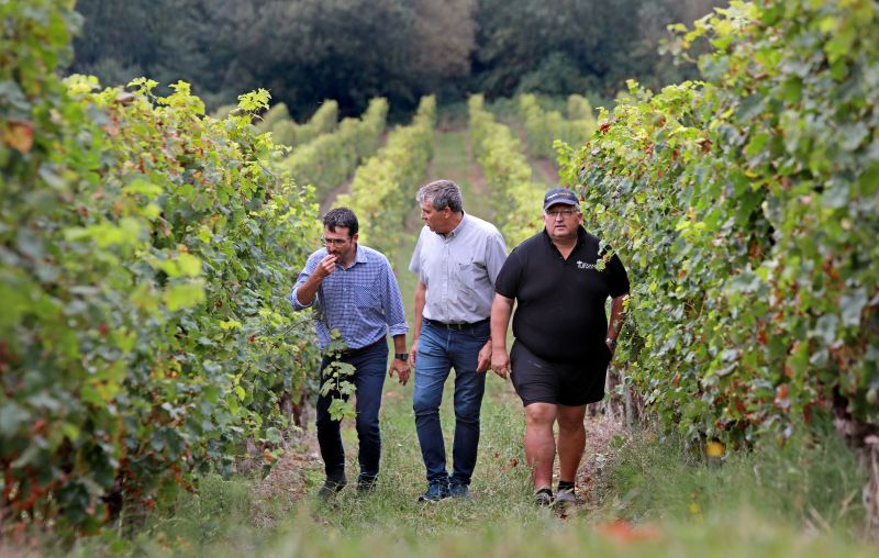 Visite de la Cave des Vignerons de Tursan