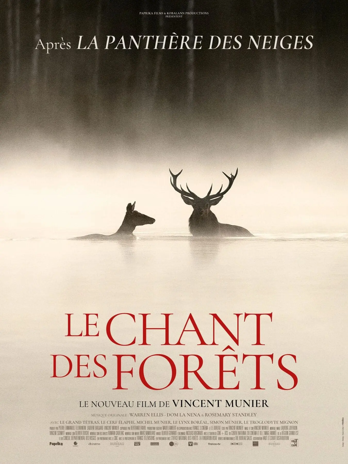 Le Cigalon : Cinéma en plein air au Château de la Tour d'Aigues : Le Chant des forêts