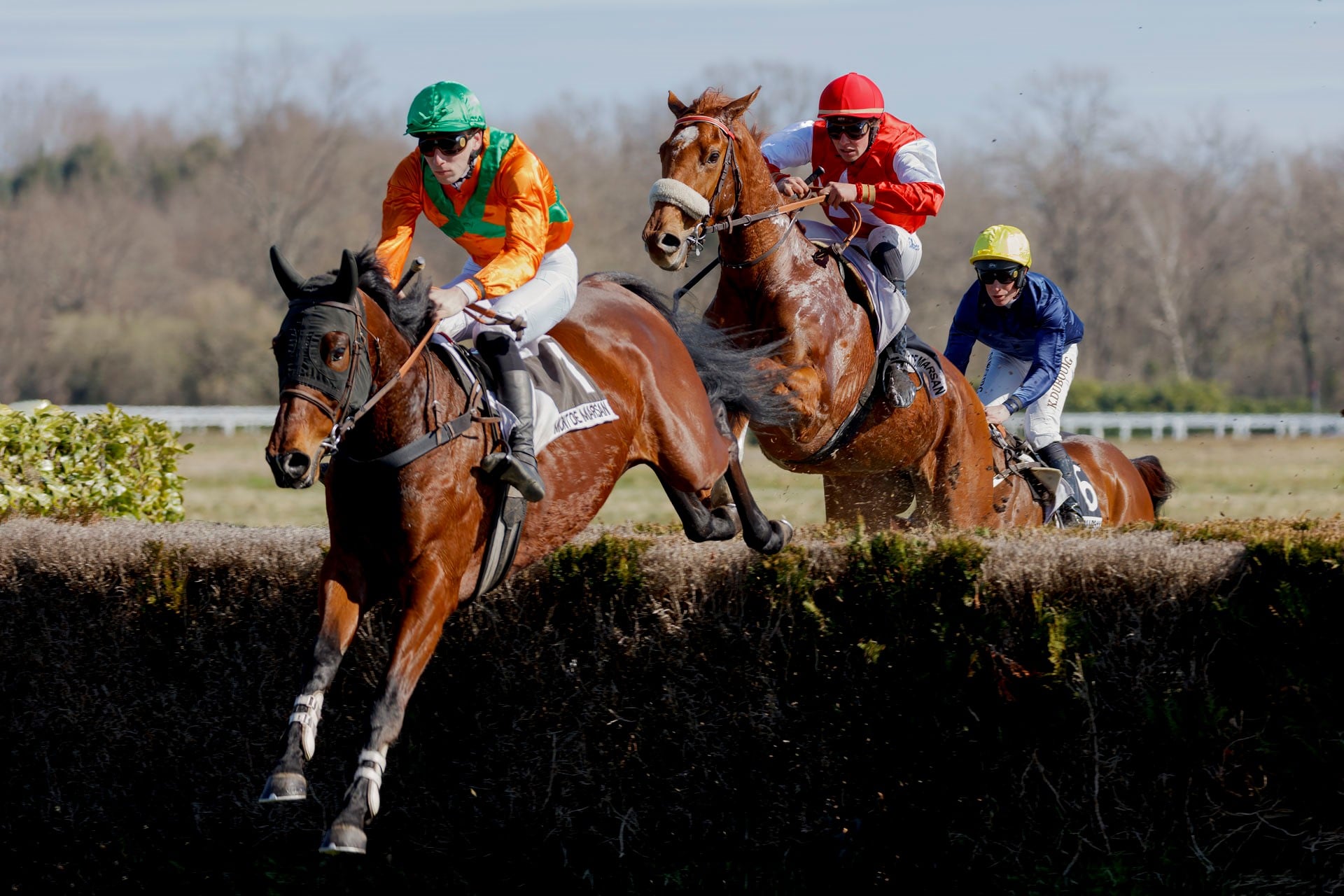 Courses hippiques