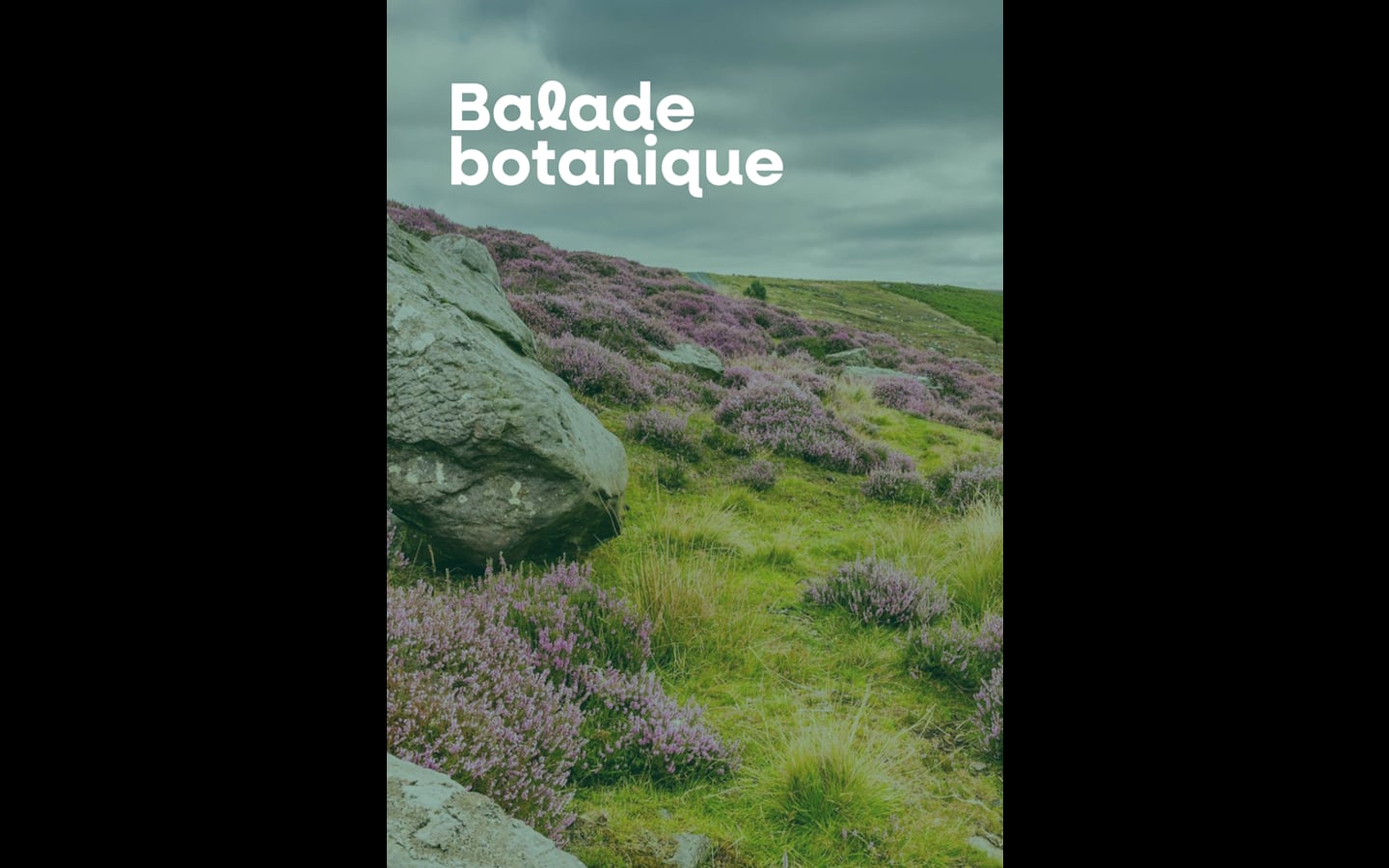 Balade botanique