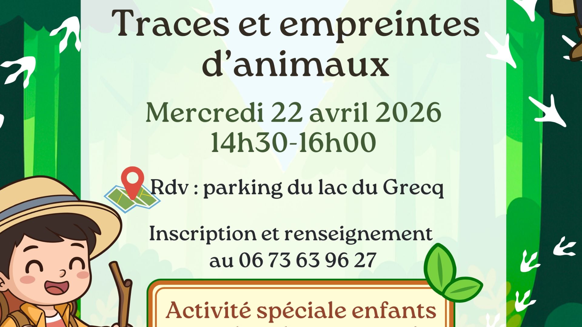 Sortie nature : Sur les traces et empreintes d'animaux