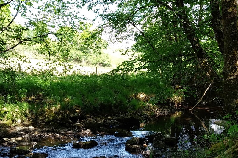Le printemps du bocage