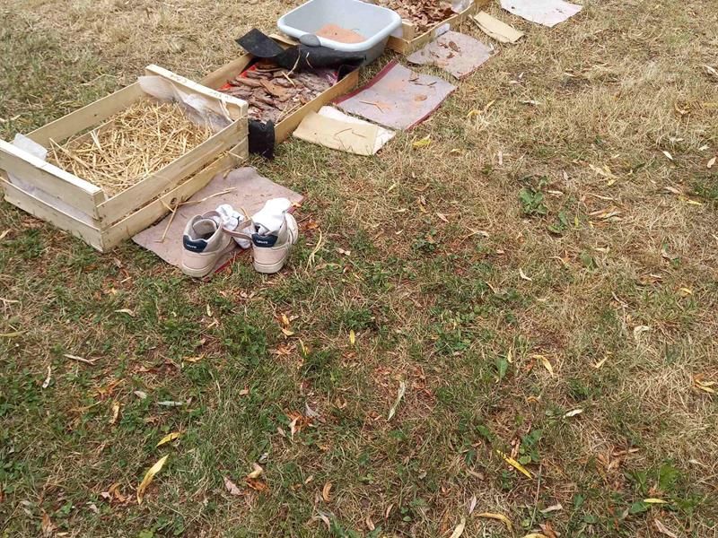 Atelier parents/enfants « Sortir en nature sauvage proche de chez soi »