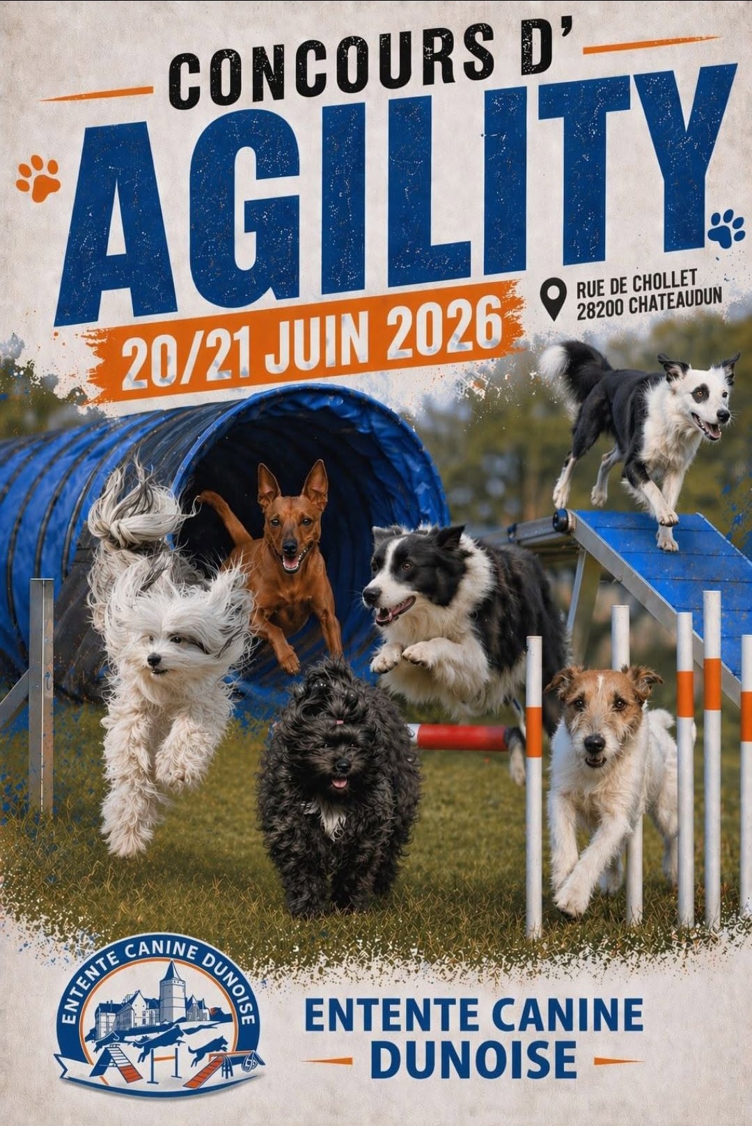Concours d'Agility