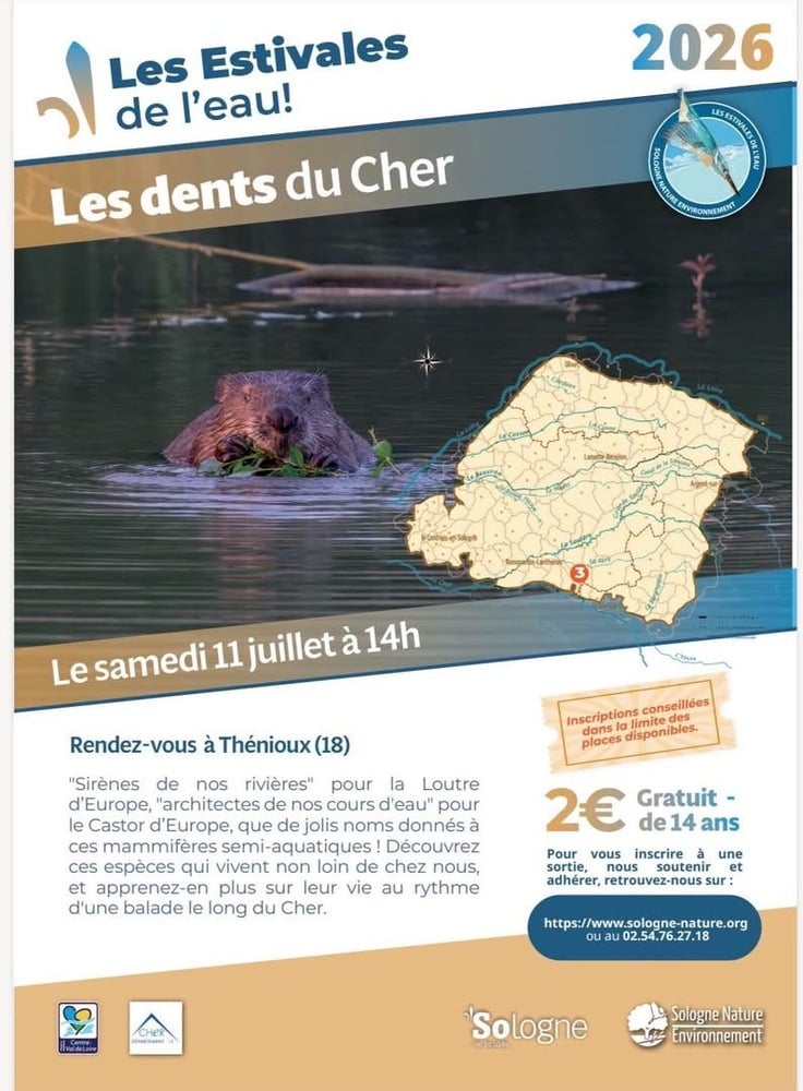 Les dents du Cher