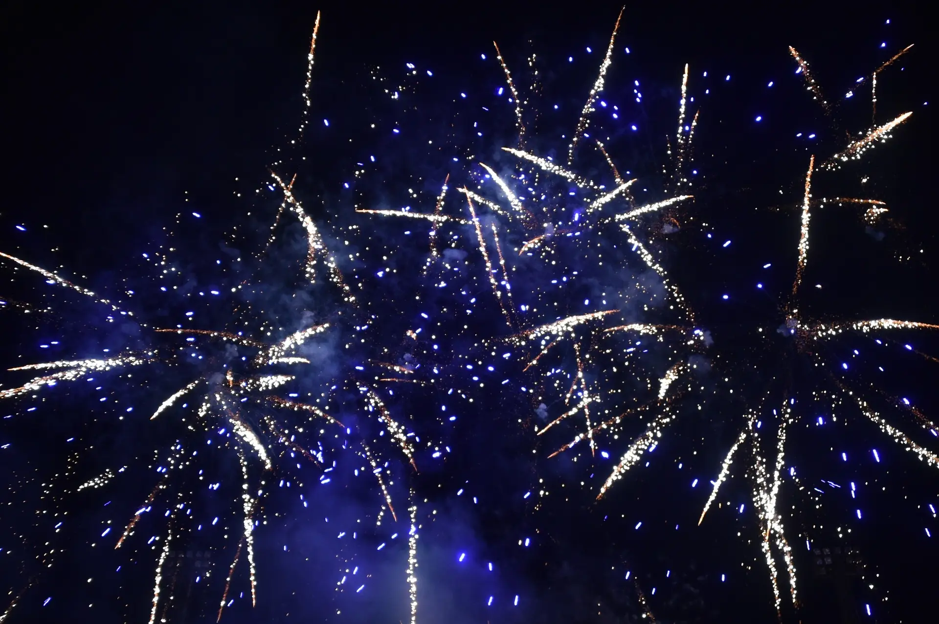 Fête de la Saint-Roch & de la Libération