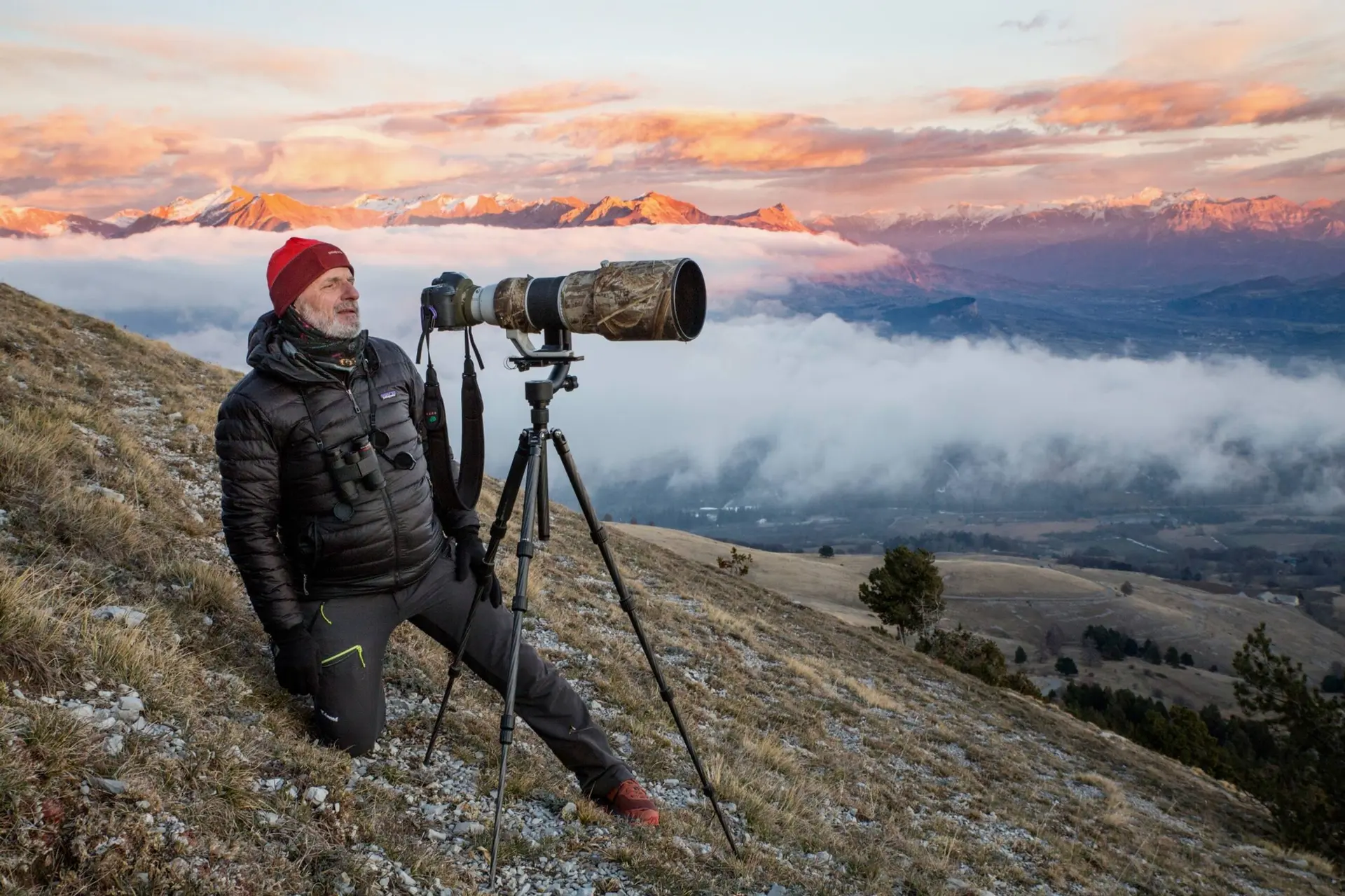 Exposition : "Des oiseaux dans l'objectif"