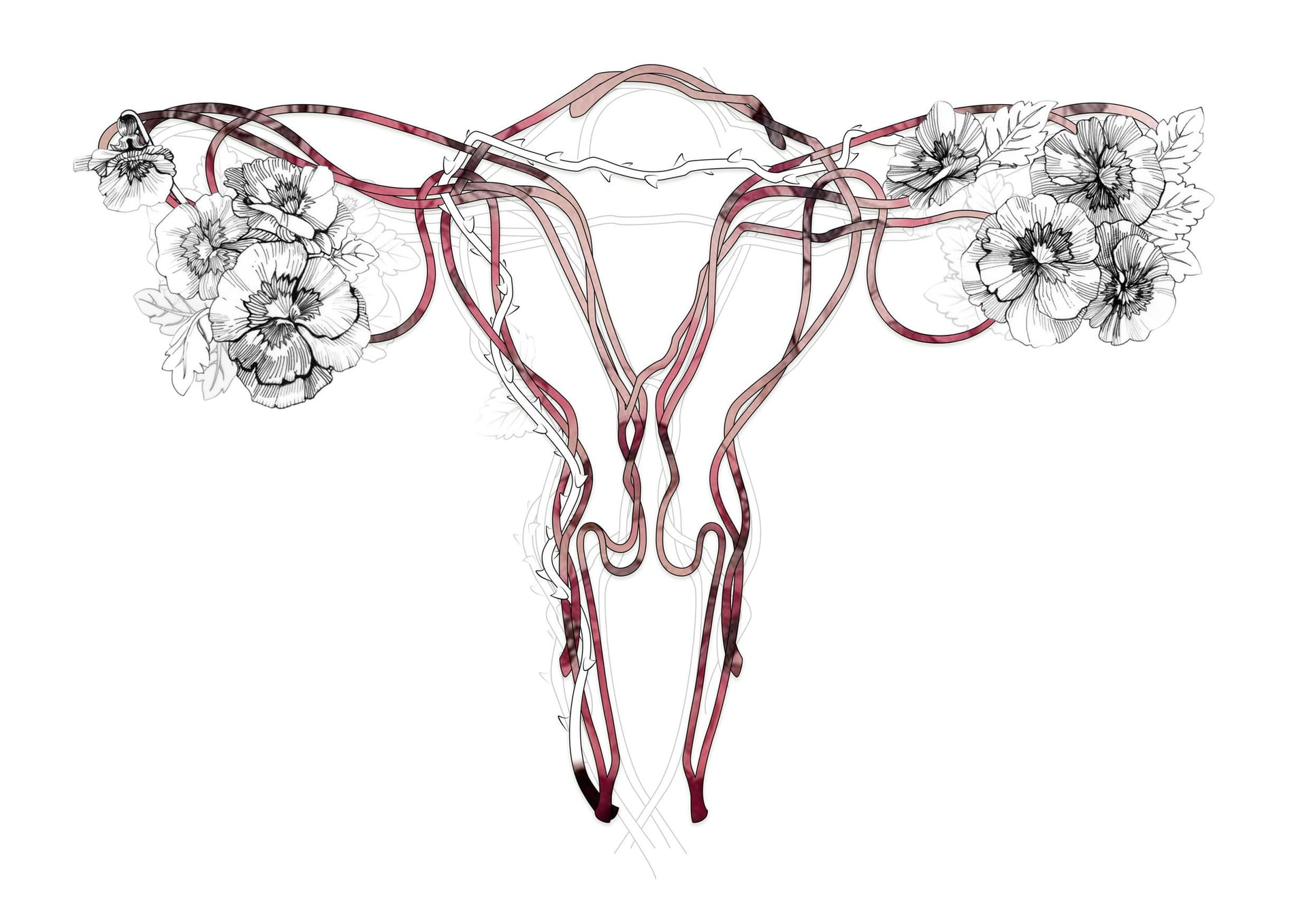 Le Chœur des femmes