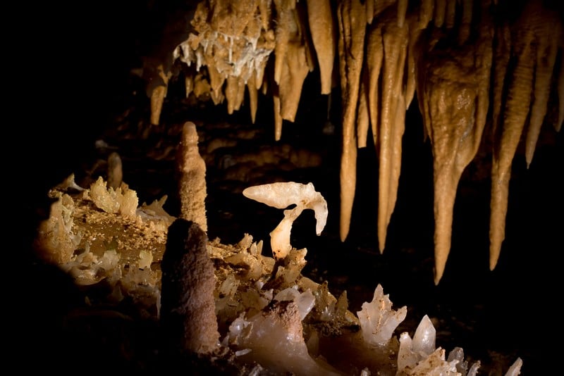Journées européennes du patrimoine à la Grotte du Grand Roc
