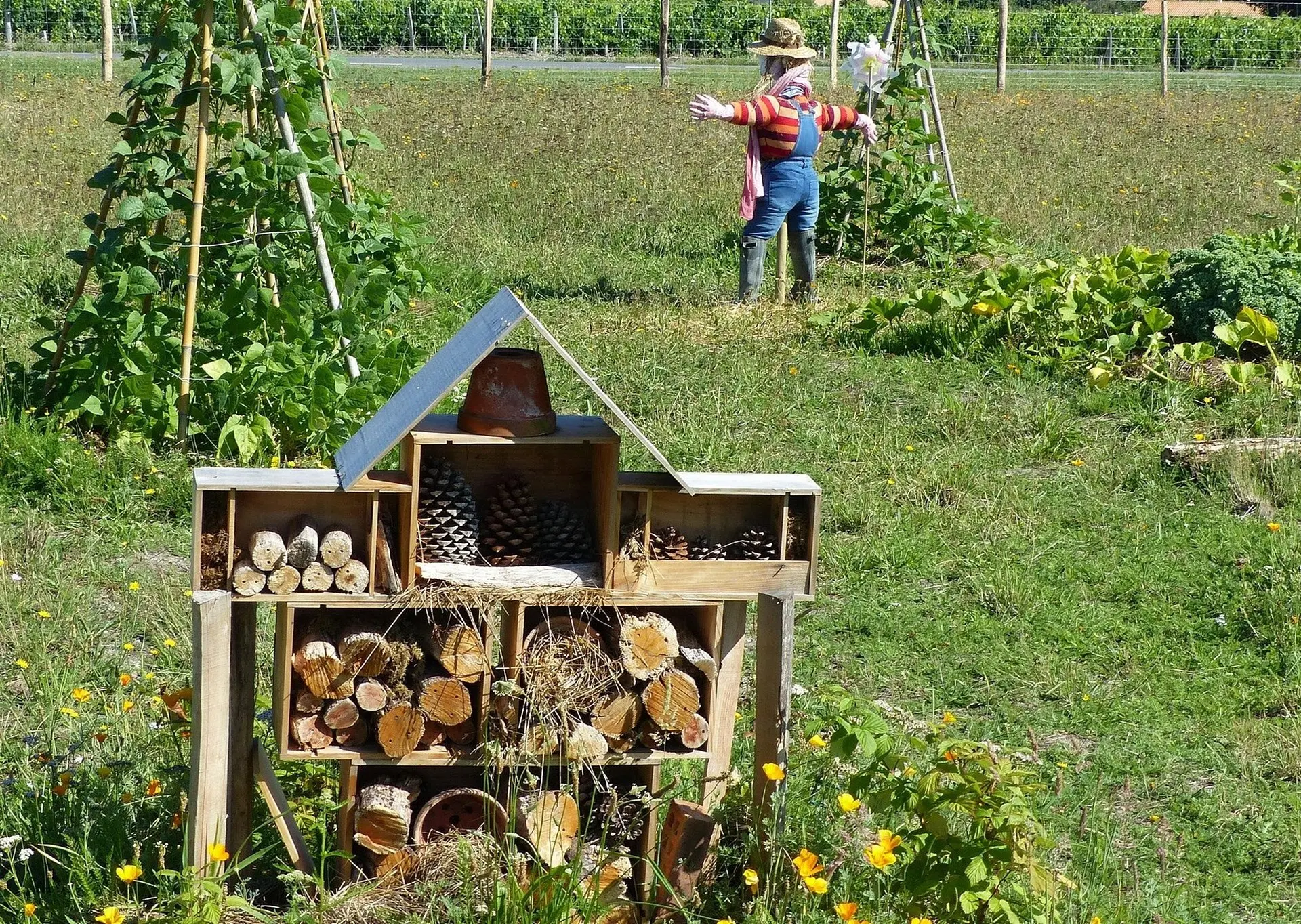 Fabrication d'hôtel à insectes et découverte