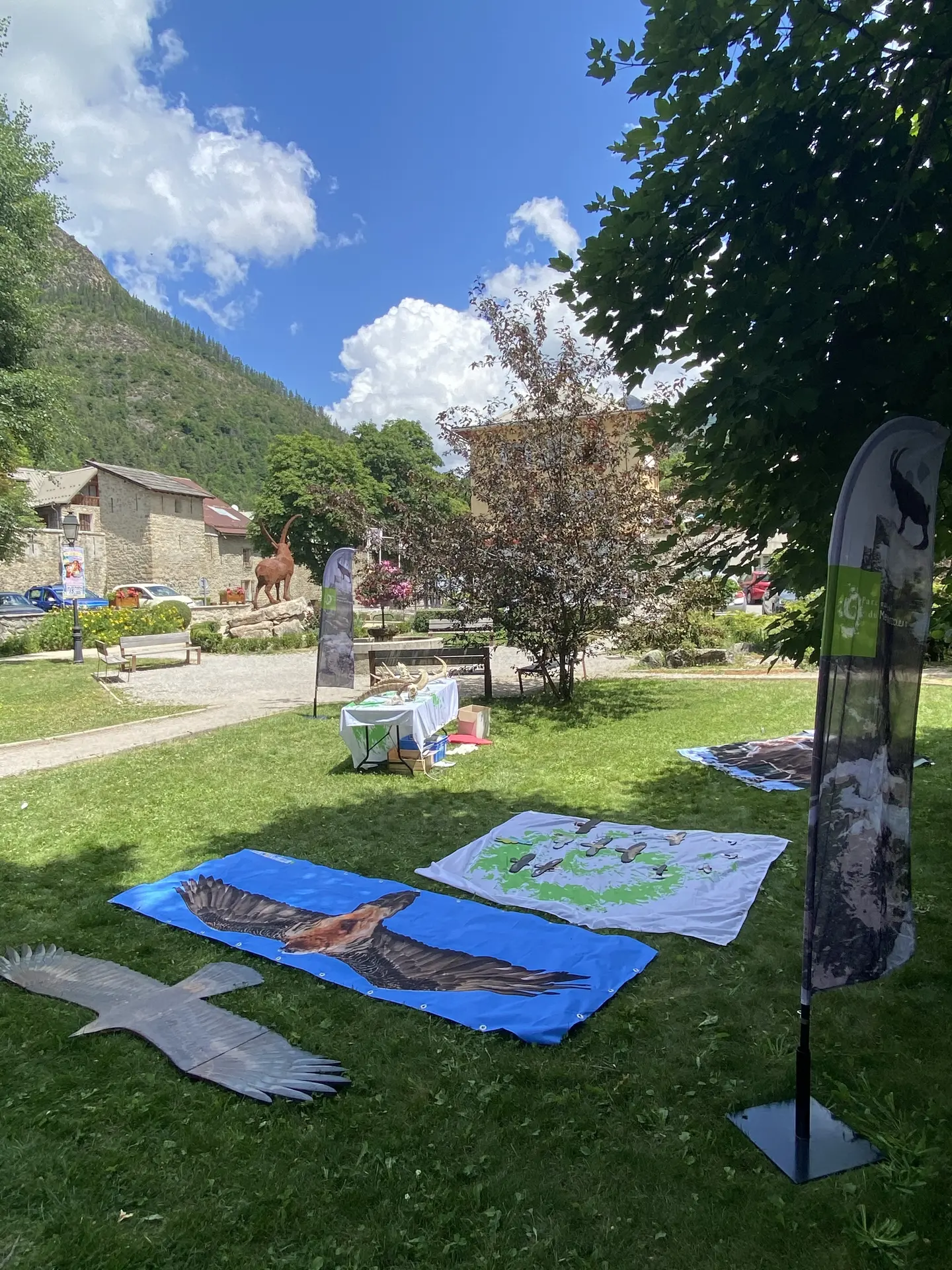 Atelier découverte des animaux emblématiques de nos montagnes