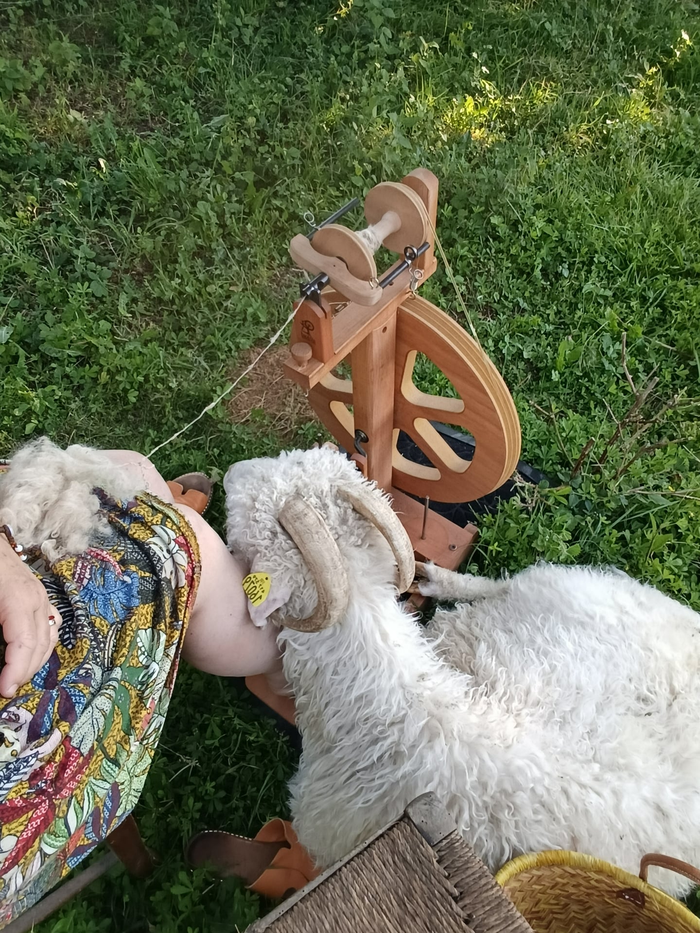 Ateliers initiation de filage au rouet - 2 formules