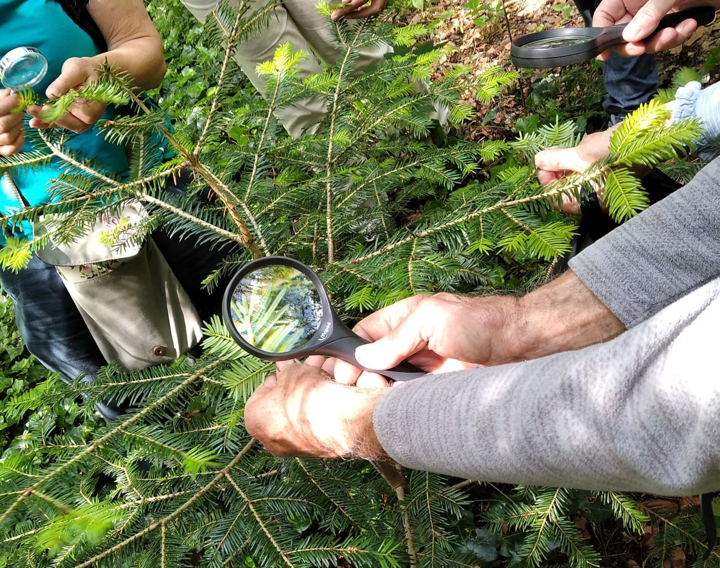 Détective en herbe, Île de Vassivière