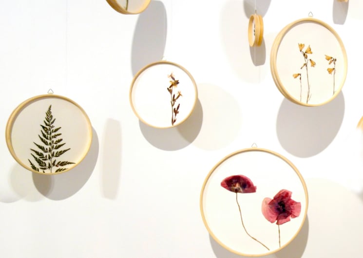 EXPOSITION – URSULA CARUEL