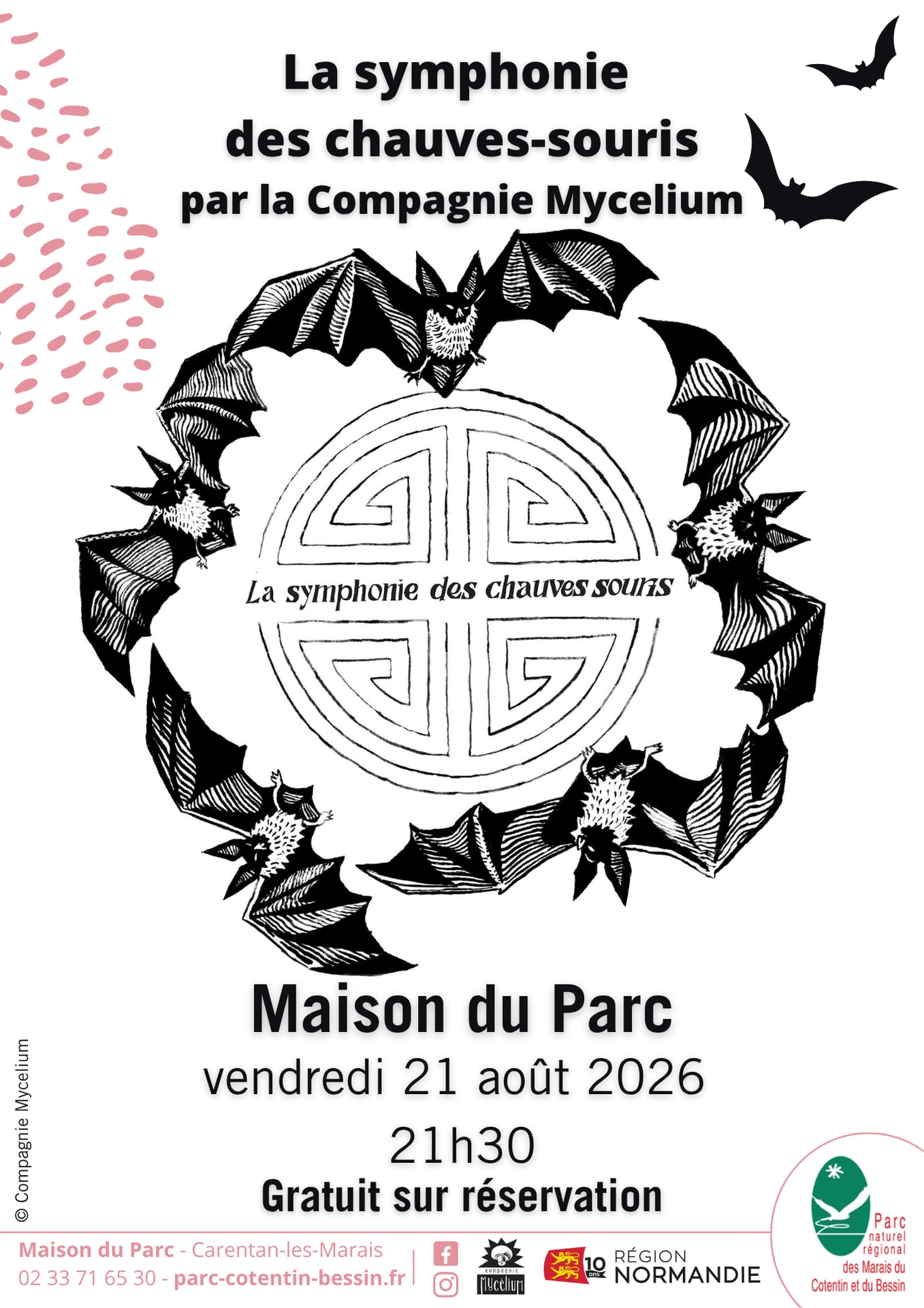 La Symphonie des Chauves-souris