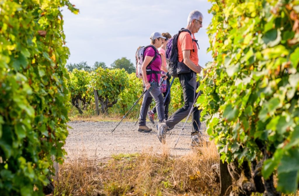 Randonnée pédestre et repas