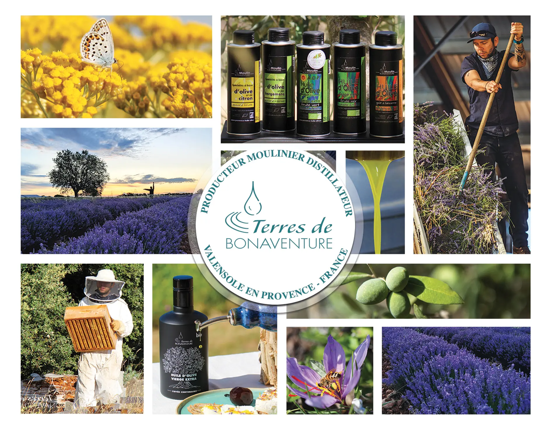 Visite guidée de la distillation thym-immortelle-lavandin et lavande