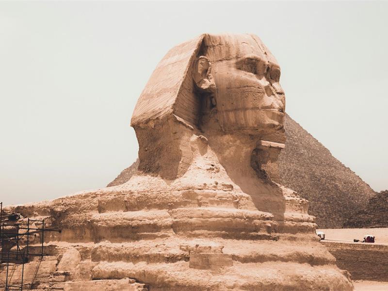 L'Egypte de Napoléon